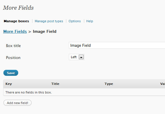 WordPress More Field