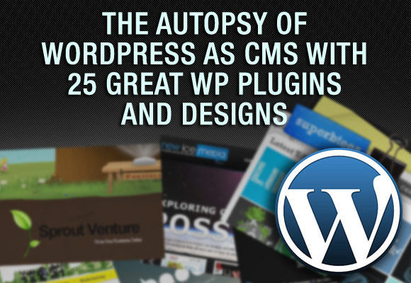 WordPress as CMS