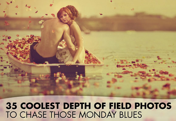 35 Depth of field inspiration