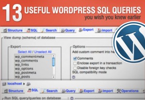 13 Useful WordPress SQL Queries You Wish You Knew Earlier