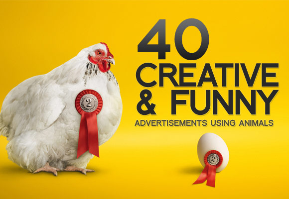 Creative and Funny Animals Advertisements 