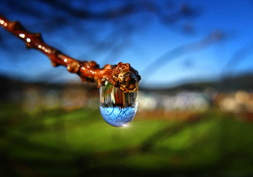 A Raindrop In A Suburb, A Suburb In A Raindrop