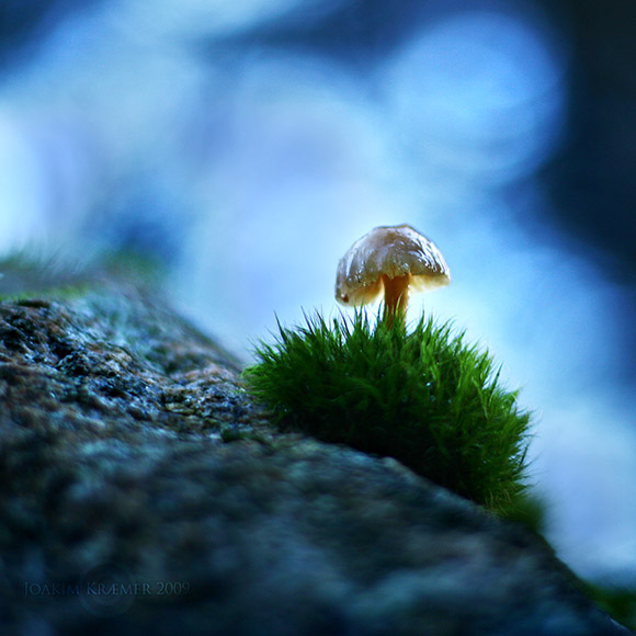 Standing Under The Bokeh