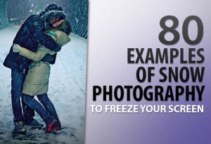 80 Examples of Snow Photography To Frost Your Screen