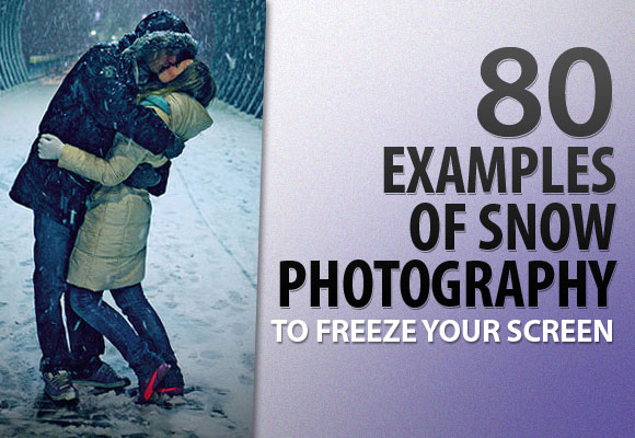 80 Examples of Snow Photography To Freeze Your Screen