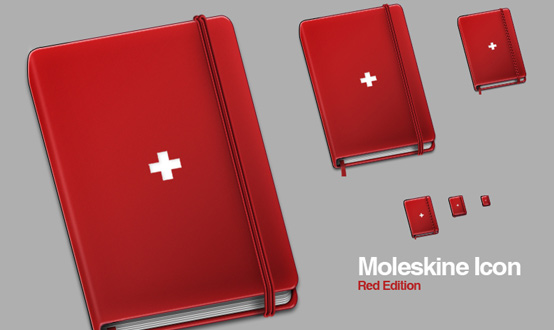 Moleskine Helvetica Red Icons Se