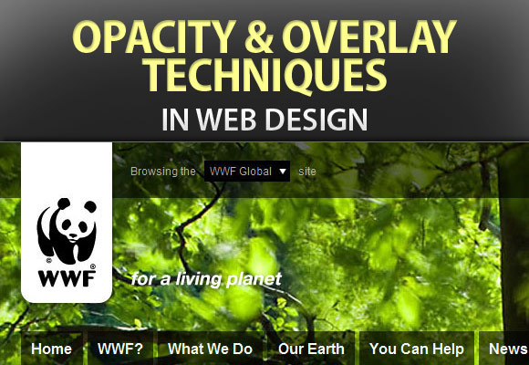 Opacity and Overlay Techniques in Web Design
