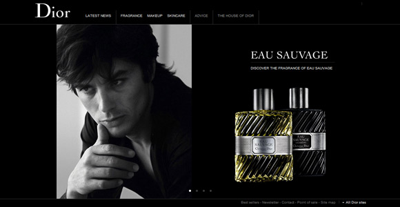 30 Inspiring Examples of Perfume Websites