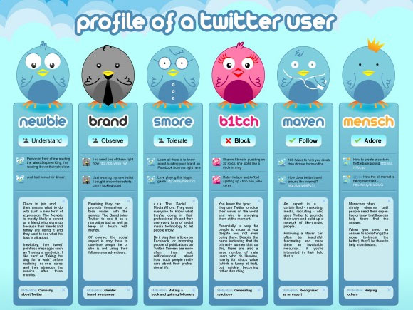 Twitter Users Profile Infographic