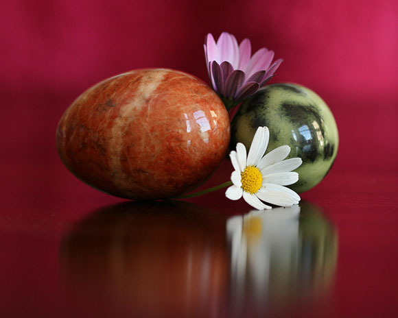 Still Life - Stone Eggs and Daisies