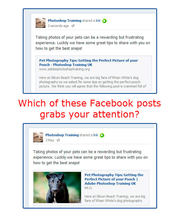 Facebook Posts