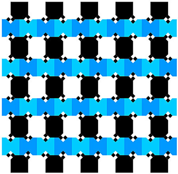 Are the Blue Lines horizontal?