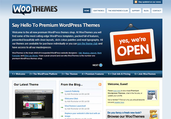 WooThemes 2008