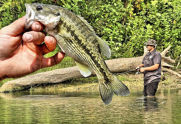 Another bass on the Guadalope River