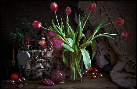 Tulips and Christmas Decorations