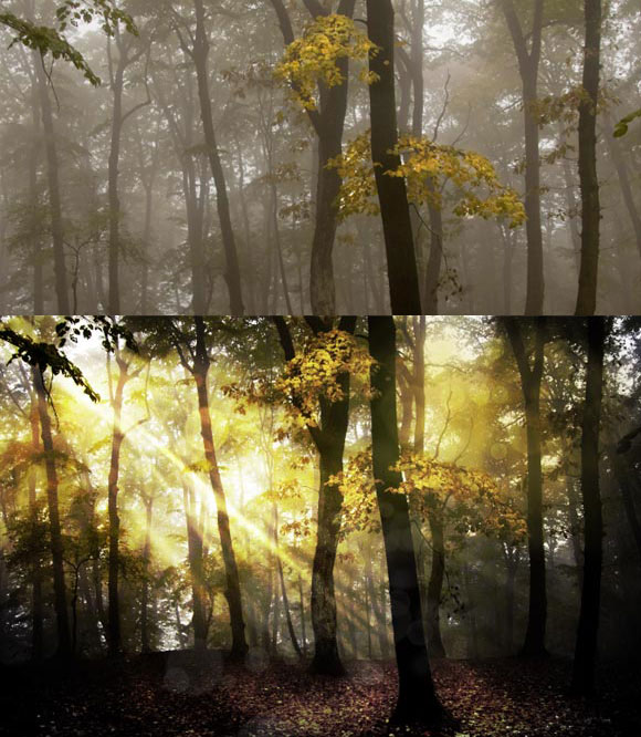 Using HDR Toning in Photoshop to Create a Fantasy Forest Scene