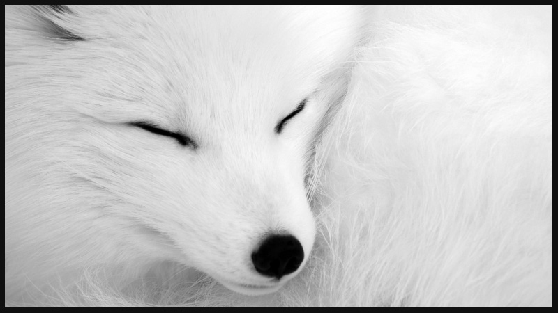 Asleep