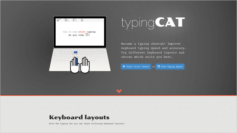 The Typing Cat