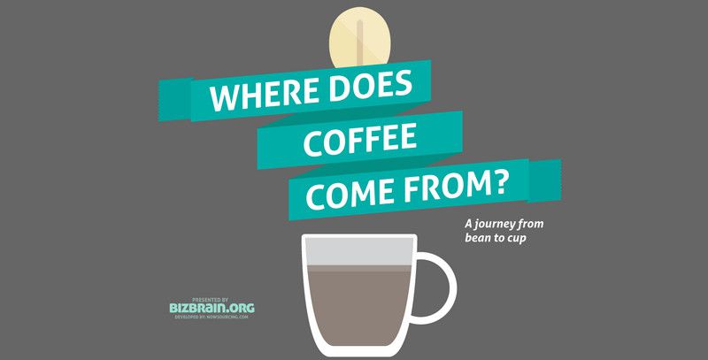 Where does Coffee come from