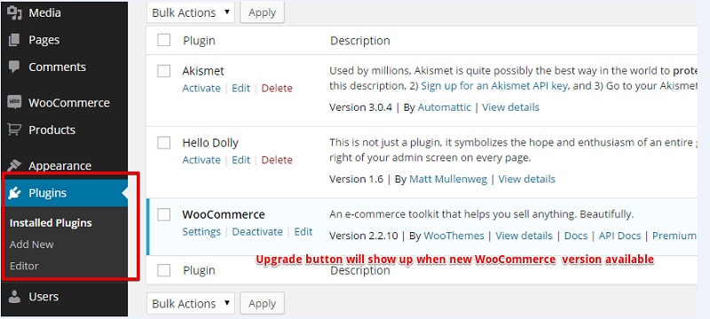 Upgrade WooCommerce