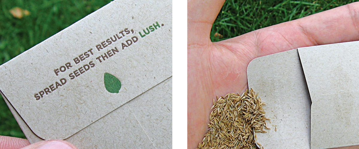 seed envelope business card