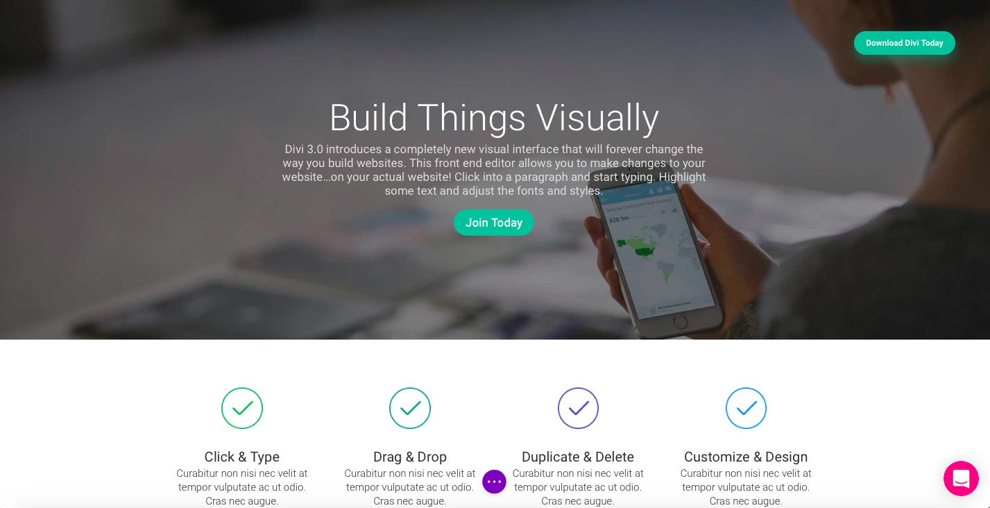 Divi theme