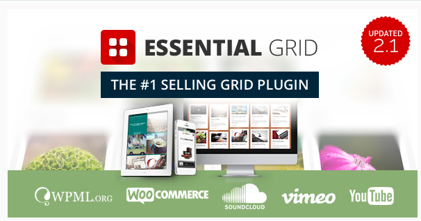 Essential Grid plugin