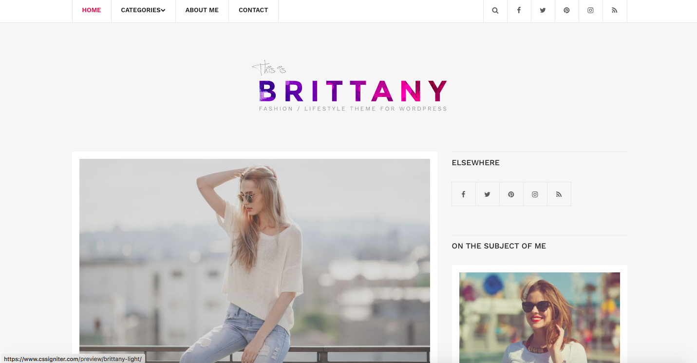 Brittany Light theme