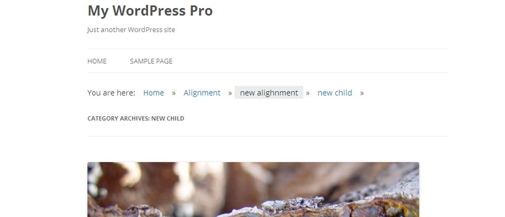 wordpress breadcrumbs plugin