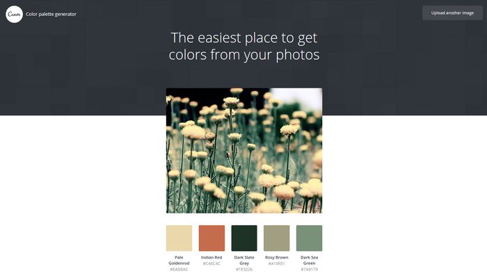 Canva Color Palette Generator