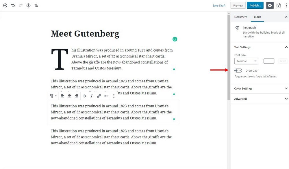 wordpress 5-gutenberg-editor- (5)