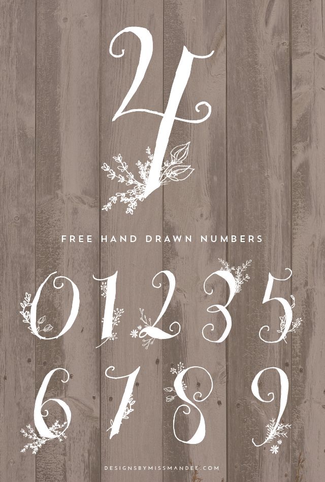 Hand-drawn numbers by Mandee Thomas